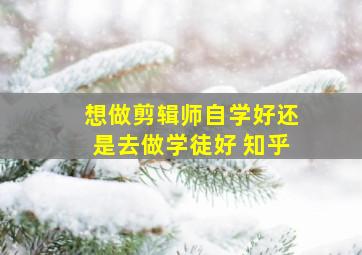 想做剪辑师自学好还是去做学徒好 知乎